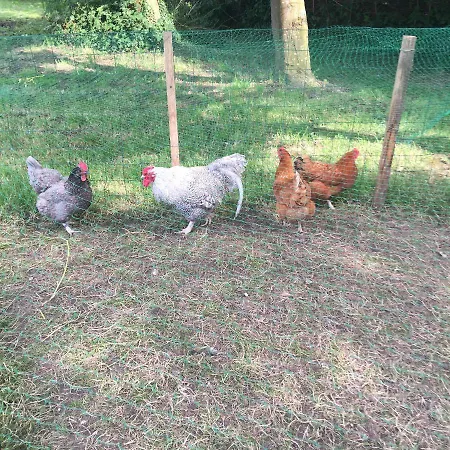 Au Coeur De La Flandre Noordpeene