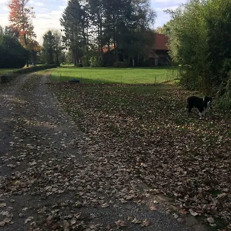 Au Coeur De La Flandre شقة