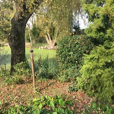 Au Coeur De La Flandre Noordpeene