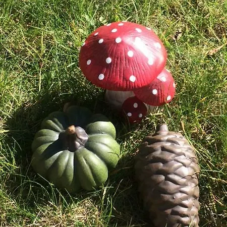 Au Coeur De La Flandre