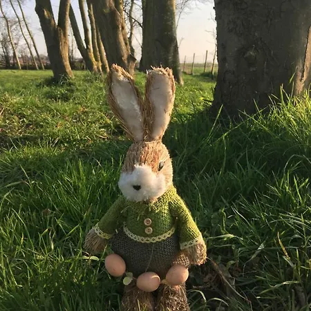 Au Coeur De La Flandre *